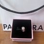 Pandora Pink Sparkling Row Clip Charm Image 6