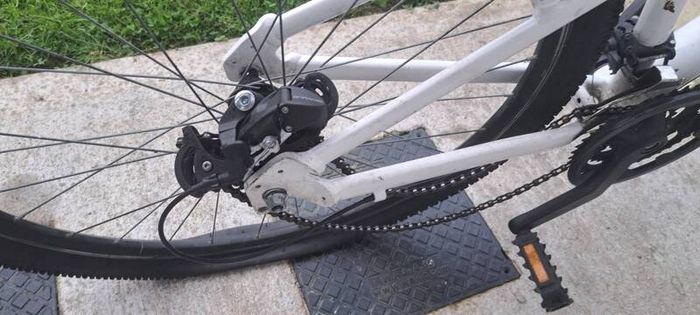 bikes