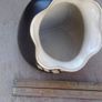 Vase Image 3