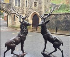Pair of life size bronze deer statues