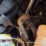 Kids Small Motor Bike for parts or repair Image 3