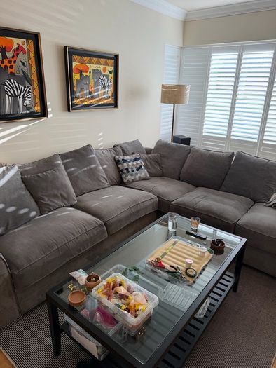 Grey Sectional Couch