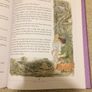Book Image 5