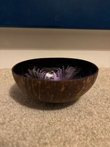 Decorative Coconut Bowl