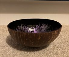 Decorative Coconut Bowl