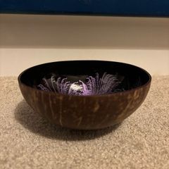 Decorative Coconut Bowl