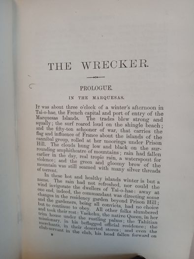 The Wrecker by Robert Louis Stevenson and Lloyd Osbourne. Illustrated by William. Hole and W. L. Metcalf (HQ288)
