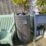 Wicker plant pots Image 2
