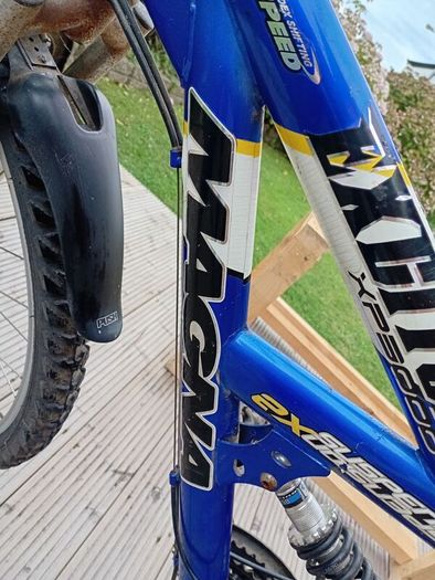 adults bike