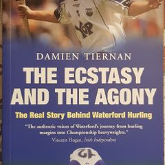 The Ecstasy And The Agony: The Real Story Behind Waterford Hurling by Damien Tiernan