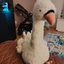 Jellycat Image 3