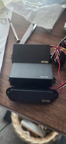 EMG HSH pups set