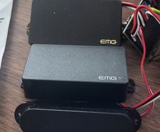 EMG HSH pups set