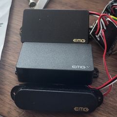 EMG HSH pups set