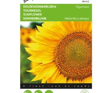 (S) Buzzy Sunflower seeds Giganteus 4g (043423)