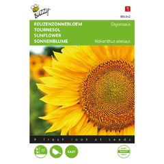 (S) Buzzy Sunflower seeds Giganteus 4g (043423)