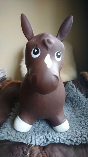 Inflatable Pony for child to ride