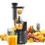 Powerful Masticating Juicer Image 4