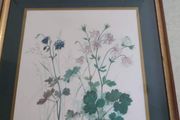 Framed Vintage Print of Beautiful Lithograph  Columbine Flowers  Artist Hage