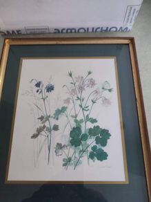 Framed Vintage Print of Beautiful Lithograph  Columbine Flowers  Artist Hage