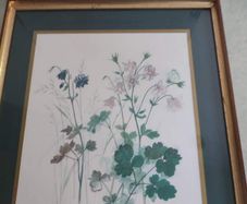 Framed Vintage Print of Beautiful Lithograph  Columbine Flowers  Artist Hage