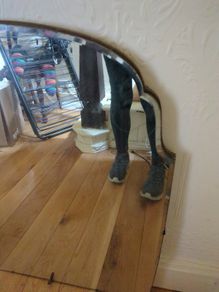 mirror antique