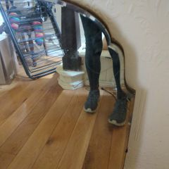 mirror antique