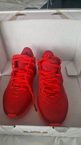 Nike Lebron xxi