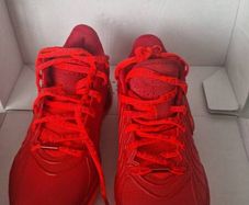 Nike Lebron xxi