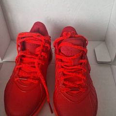 Nike Lebron xxi