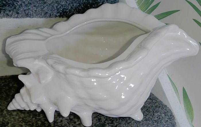 Large Shell / Plant Pot (& free 25 Gladiolus Bulbs!)