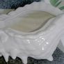 Large Shell / Plant Pot (& free 25 Gladiolus Bulbs!) Image 2