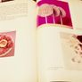 1979. Creative Sweets And Candy Making. Image 5