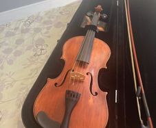 Violin