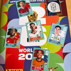 Panini World Cup Stickers