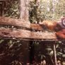 Book Image 5