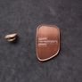 Gaisce , The Presidents Award Medal and Lapel Pin Badge Image 2