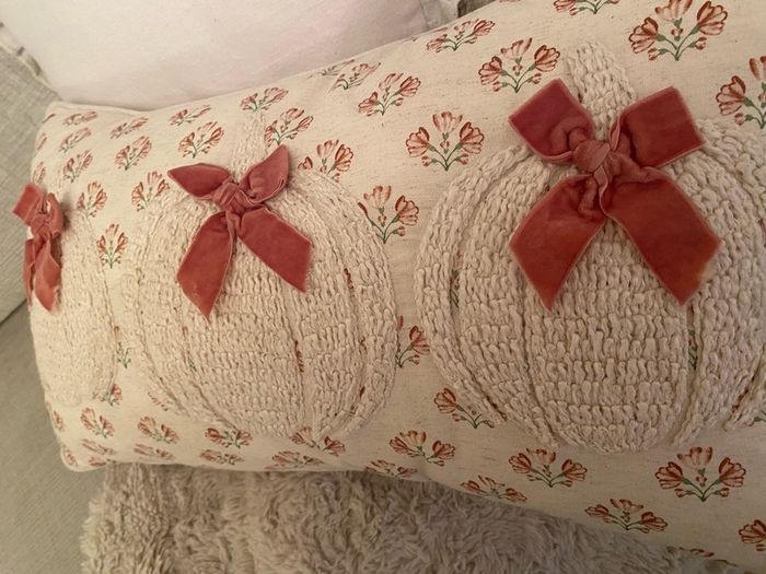ShabbyChic Rachel Ashwell Cushion
