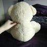 Cream Bear with Gold Bow - Medium sized Image 2