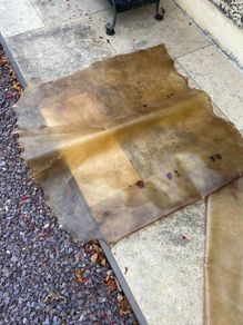 Natural vellum/Parchment skin