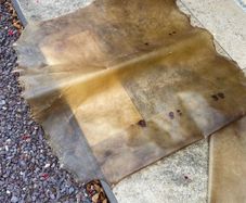 Natural vellum/Parchment skin