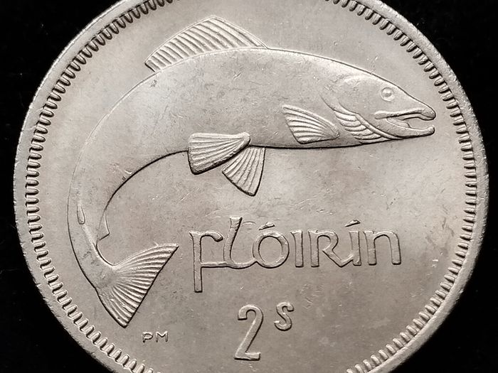 Ireland - 1966 - Florin - KM.15a - AU - [643]