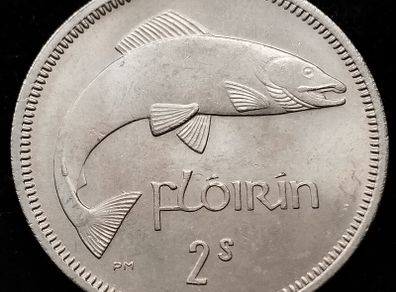 Ireland - 1966 - Florin - KM.15a - AU - [643]