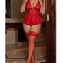 BNWT Beautiful Red Bodysuit / Lingerie size 18/20 (stretchy) Image 3