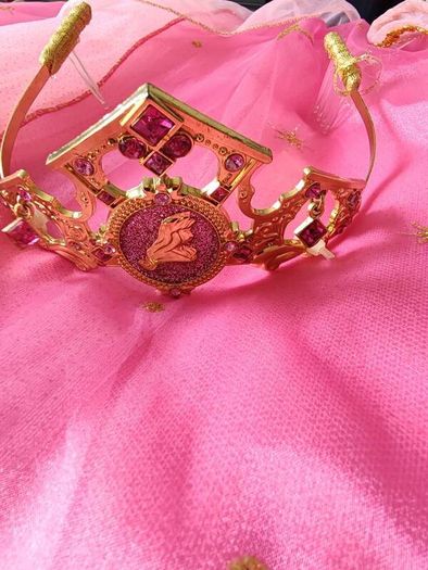 Disney Sleeping beauty costume
