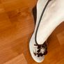 Marco Moreo Taupe Suede with Gem Buckle Image 5