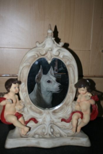 Mirror