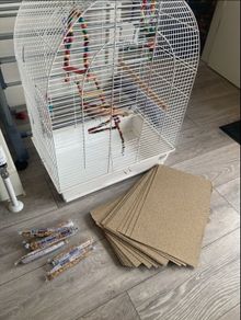 birds cage