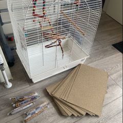 birds cage