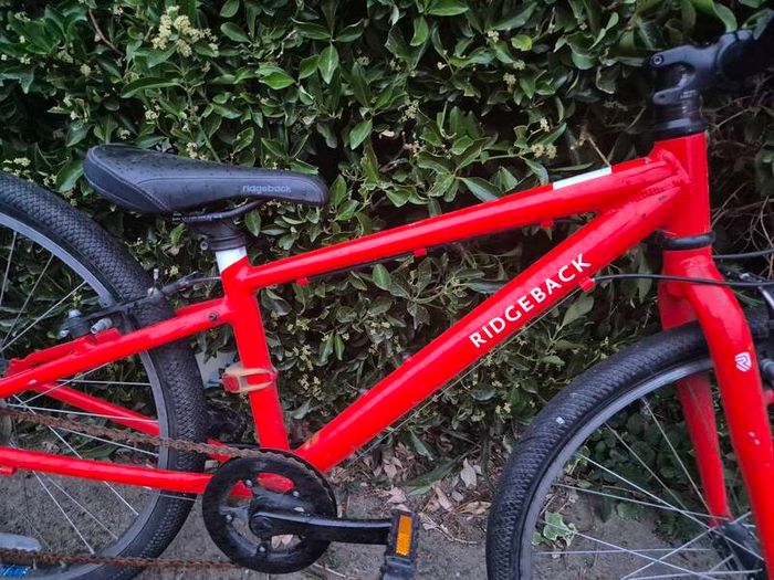 Ridgeback 24in Boy's Bike